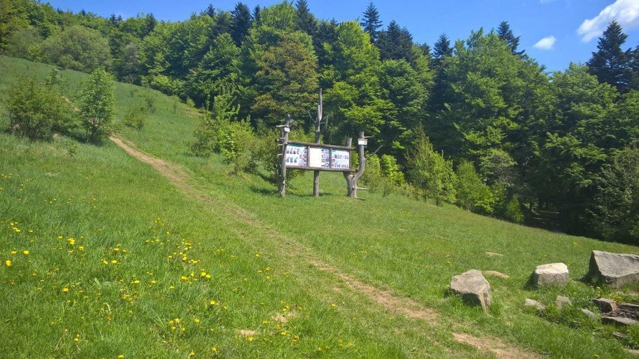 Pod Kamiennikiem Otel Trzemesnia Dış mekan fotoğraf